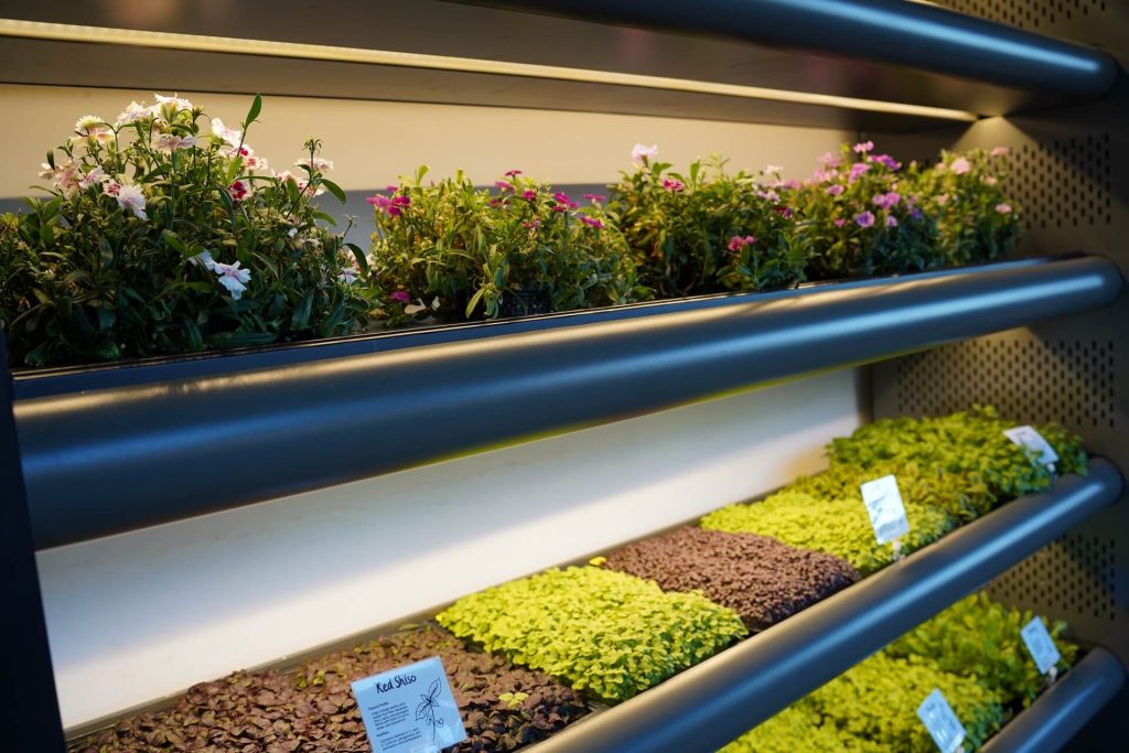 Embracing Sustainable Dining with Greenspace Vertical Gardens
