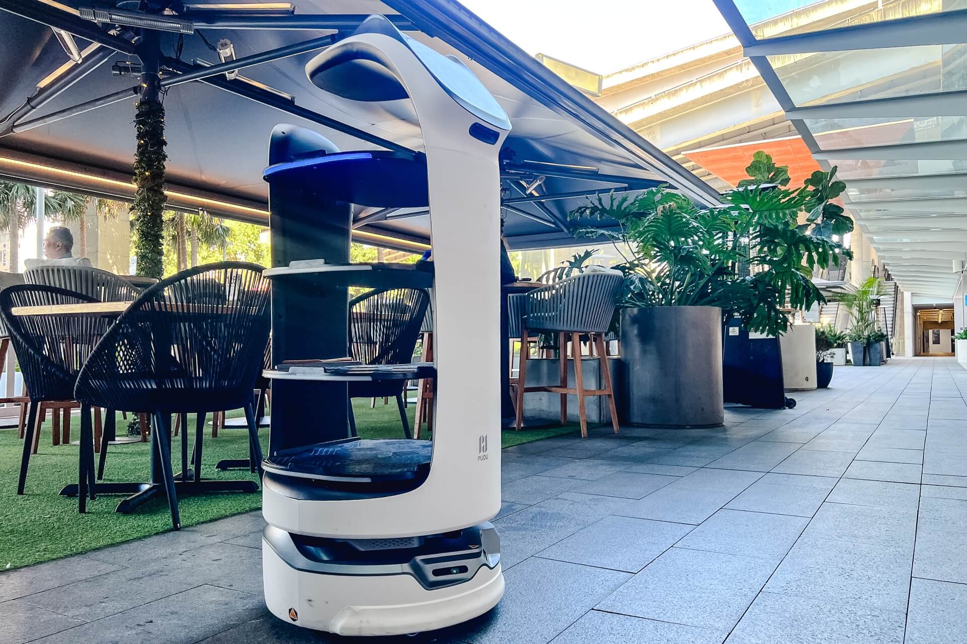 Meet Bellabot Robot Waiter at Planar Restaurant